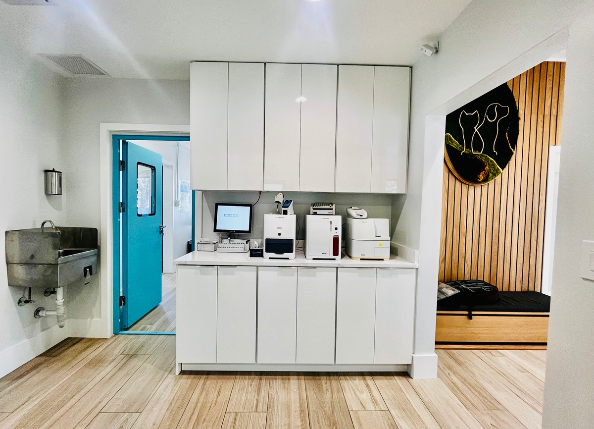 STEM-KIT-Treatment-room